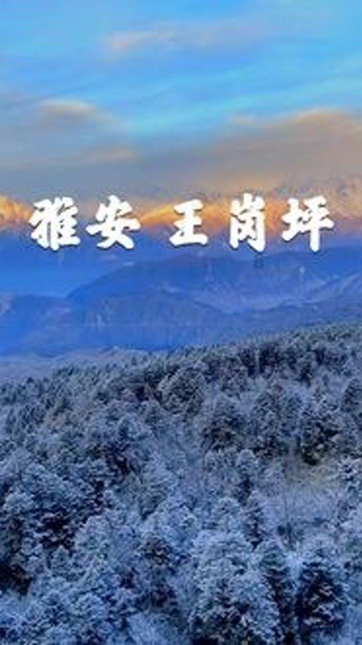 遗落的盒子
